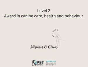 IPET Network Level 2 Award in canine care, health and behaviour